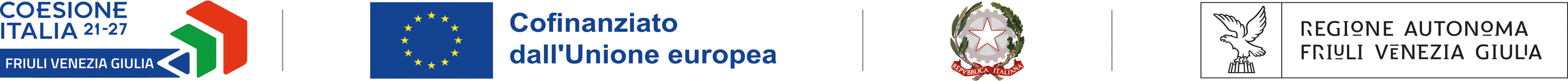 European Union — co-funded project logo